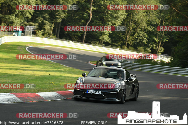 Bild #7316878 - Touristenfahrten Nürburgring Nordschleife (29.08.2019)