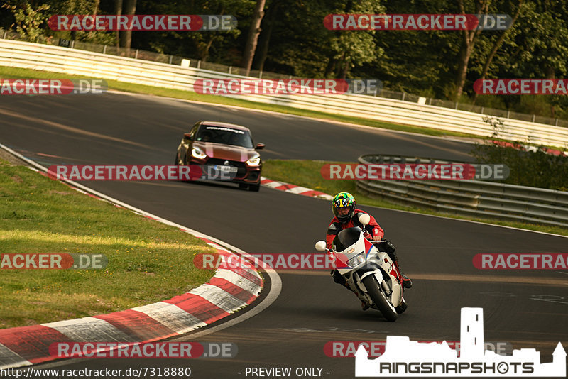 Bild #7318880 - Touristenfahrten Nürburgring Nordschleife (29.08.2019)