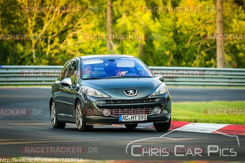 Bild #7319014 - Touristenfahrten Nürburgring Nordschleife (29.08.2019)