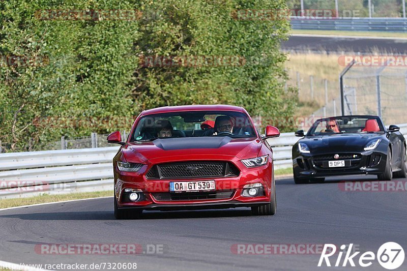 Bild #7320608 - Touristenfahrten Nürburgring Nordschleife (29.08.2019)