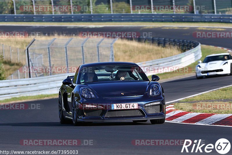 Bild #7395003 - Touristenfahrten Nürburgring Nordschleife (03.09.2019)