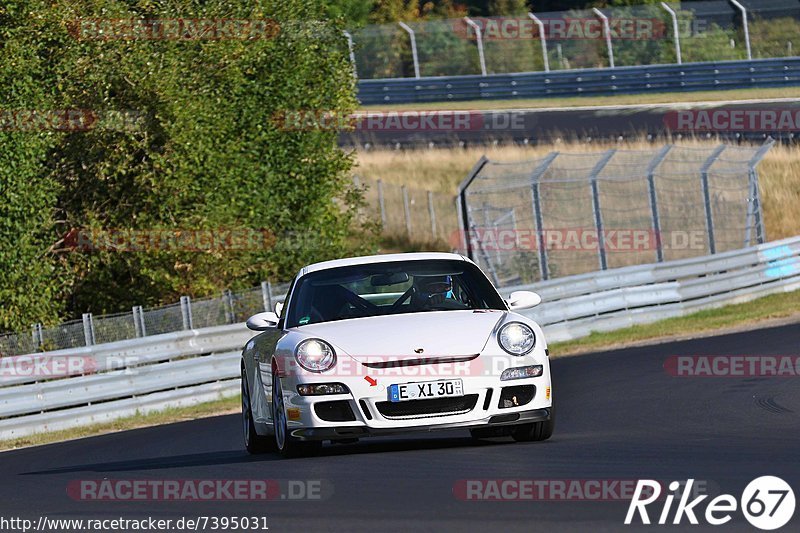 Bild #7395031 - Touristenfahrten Nürburgring Nordschleife (03.09.2019)