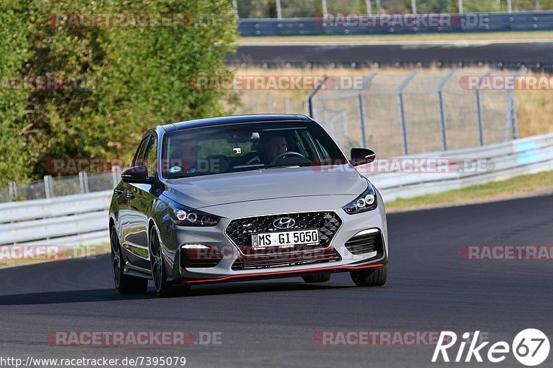 Bild #7395079 - Touristenfahrten Nürburgring Nordschleife (03.09.2019)