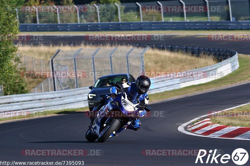 Bild #7395093 - Touristenfahrten Nürburgring Nordschleife (03.09.2019)