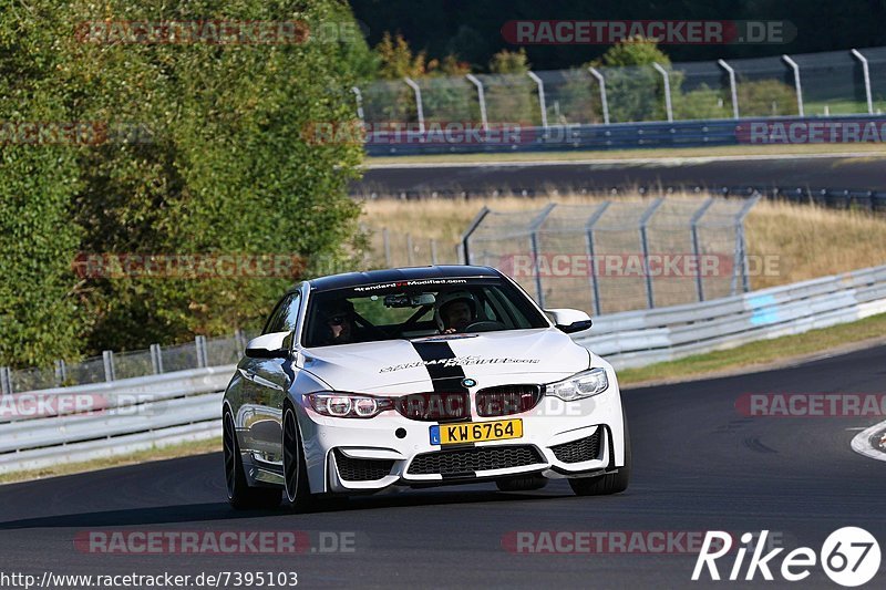 Bild #7395103 - Touristenfahrten Nürburgring Nordschleife (03.09.2019)