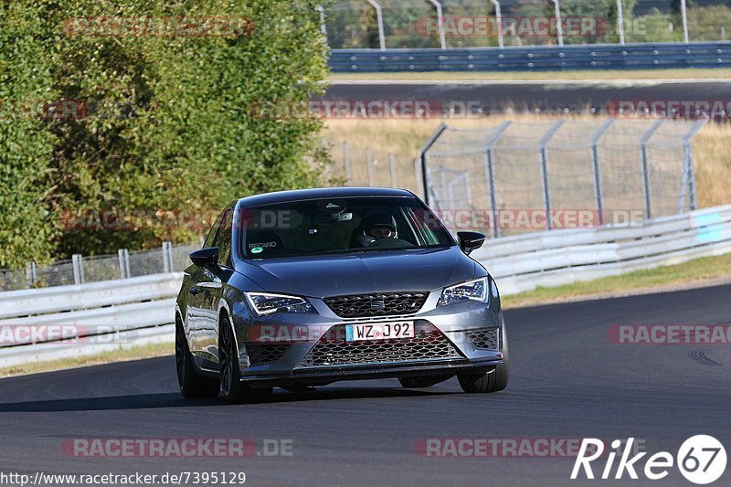 Bild #7395129 - Touristenfahrten Nürburgring Nordschleife (03.09.2019)