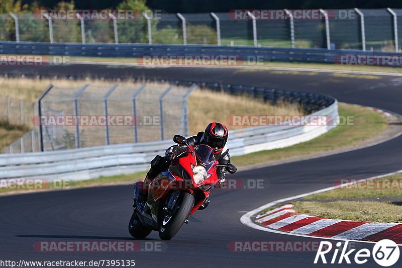 Bild #7395135 - Touristenfahrten Nürburgring Nordschleife (03.09.2019)