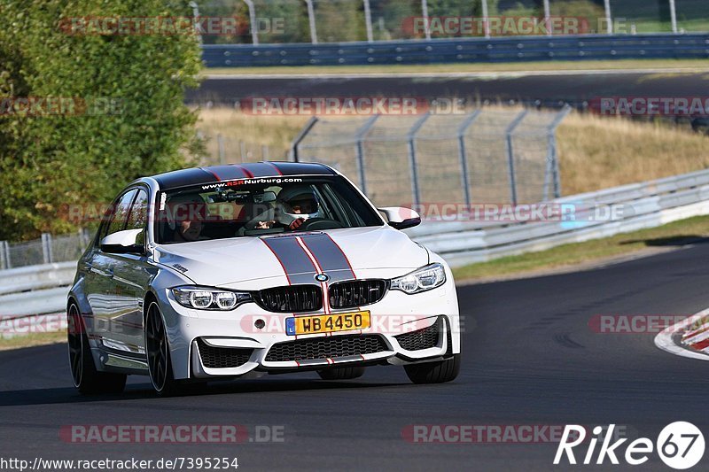 Bild #7395254 - Touristenfahrten Nürburgring Nordschleife (03.09.2019)