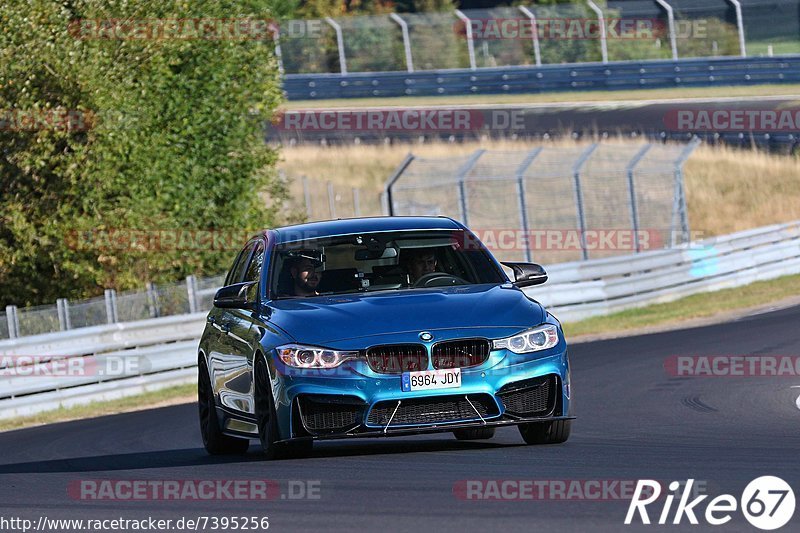 Bild #7395256 - Touristenfahrten Nürburgring Nordschleife (03.09.2019)