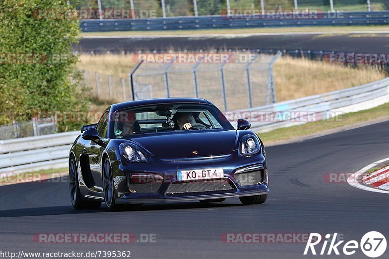 Bild #7395362 - Touristenfahrten Nürburgring Nordschleife (03.09.2019)