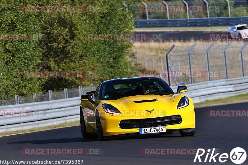 Bild #7395367 - Touristenfahrten Nürburgring Nordschleife (03.09.2019)