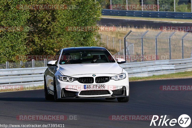 Bild #7395411 - Touristenfahrten Nürburgring Nordschleife (03.09.2019)