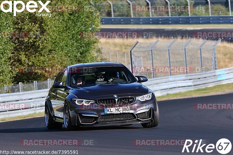 Bild #7395591 - Touristenfahrten Nürburgring Nordschleife (03.09.2019)