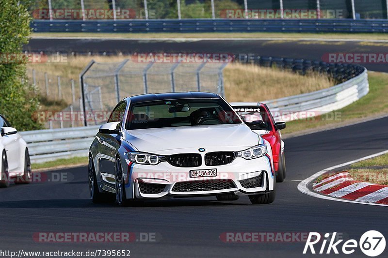 Bild #7395652 - Touristenfahrten Nürburgring Nordschleife (03.09.2019)