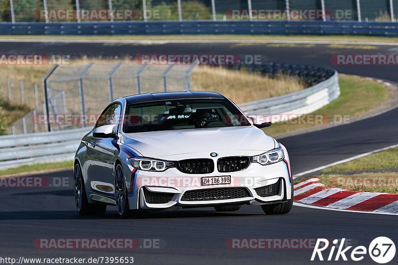 Bild #7395653 - Touristenfahrten Nürburgring Nordschleife (03.09.2019)