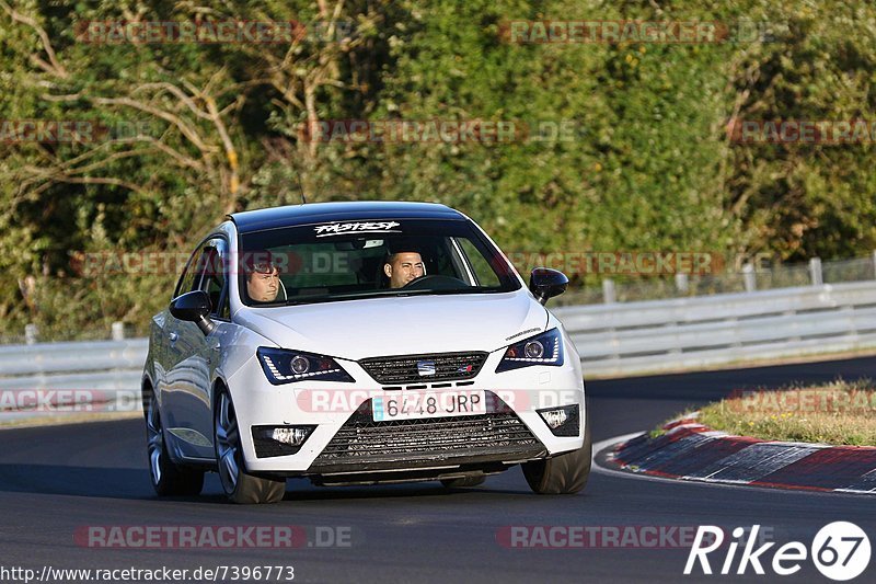 Bild #7396773 - Touristenfahrten Nürburgring Nordschleife (03.09.2019)