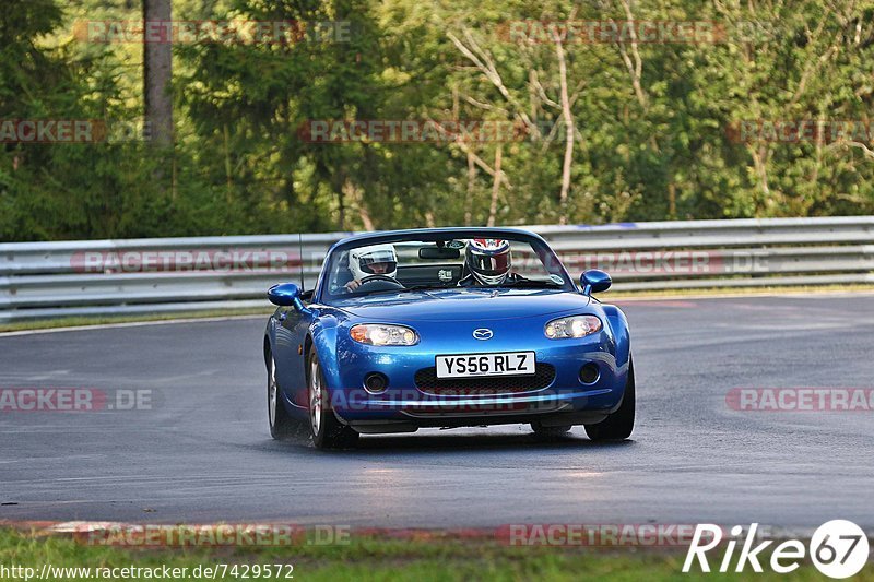 Bild #7429572 - Touristenfahrten Nürburgring Nordschleife (08.09.2019)