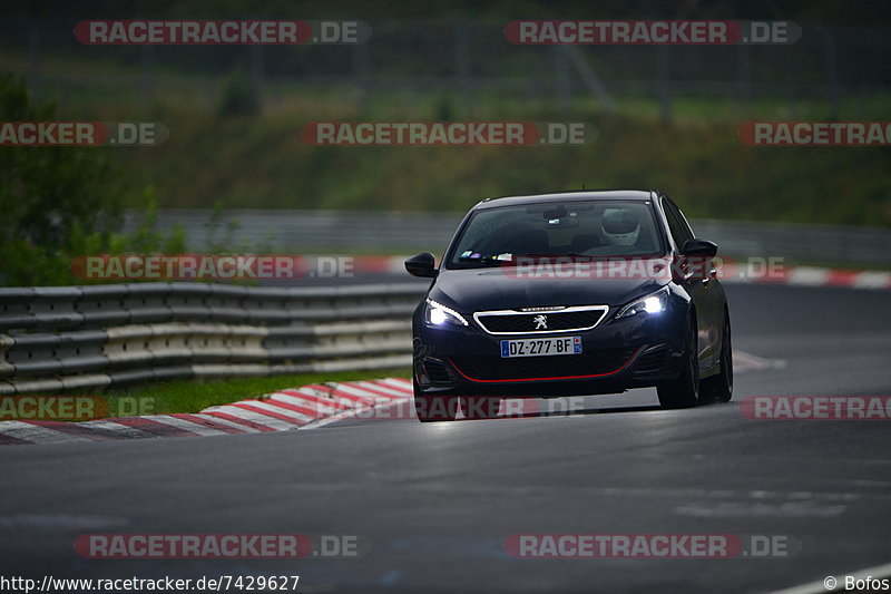 Bild #7429627 - Touristenfahrten Nürburgring Nordschleife (08.09.2019)