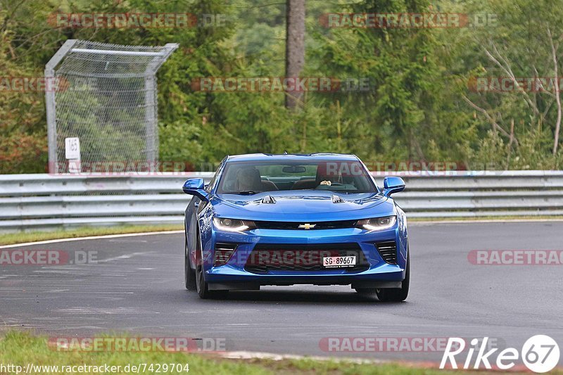 Bild #7429704 - Touristenfahrten Nürburgring Nordschleife (08.09.2019)