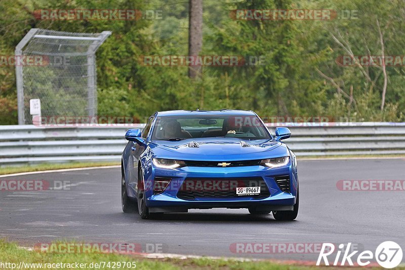 Bild #7429705 - Touristenfahrten Nürburgring Nordschleife (08.09.2019)