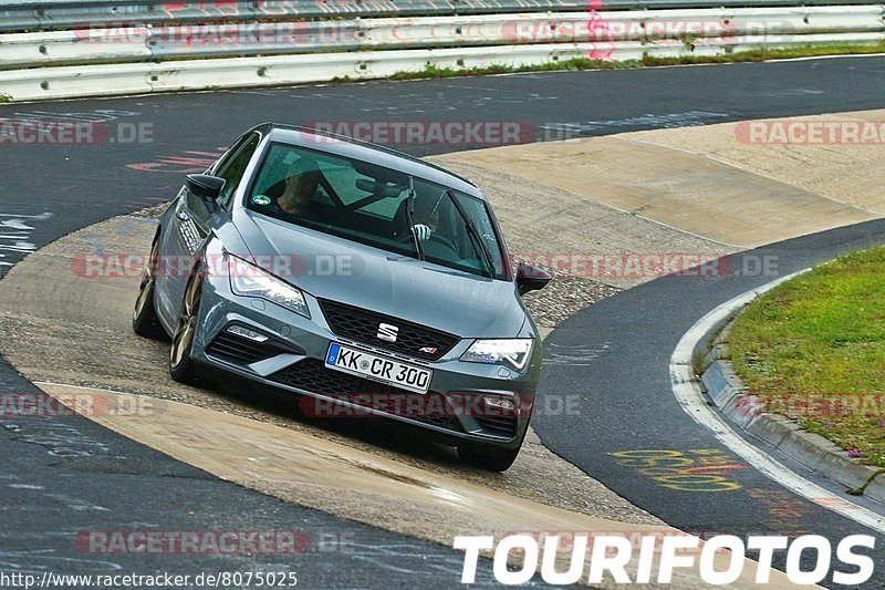 Bild #8075025 - Touristenfahrten Nürburgring Nordschleife (08.09.2019)