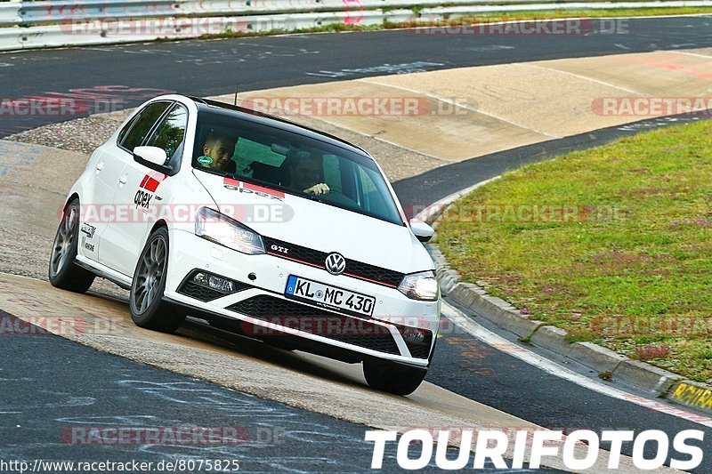 Bild #8075825 - Touristenfahrten Nürburgring Nordschleife (08.09.2019)