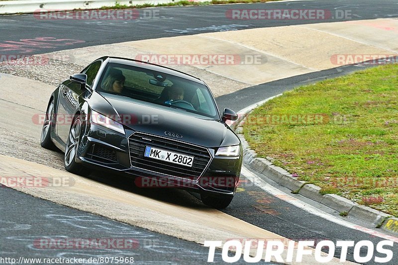 Bild #8075968 - Touristenfahrten Nürburgring Nordschleife (08.09.2019)