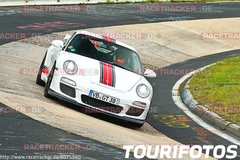 Bild #8075980 - Touristenfahrten Nürburgring Nordschleife (08.09.2019)