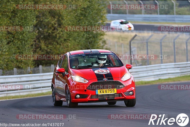 Bild #7437077 - Touristenfahrten Nürburgring Nordschleife (10.09.2019)