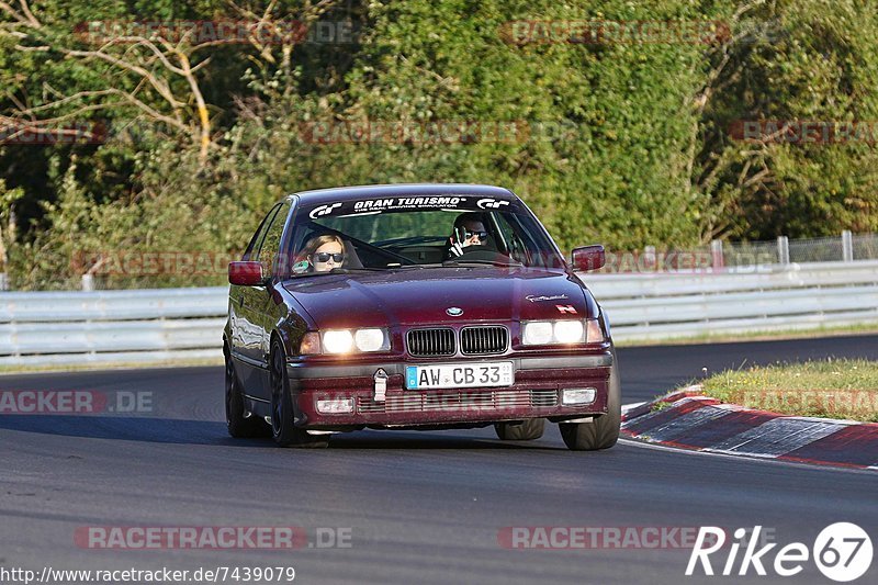 Bild #7439079 - Touristenfahrten Nürburgring Nordschleife (10.09.2019)