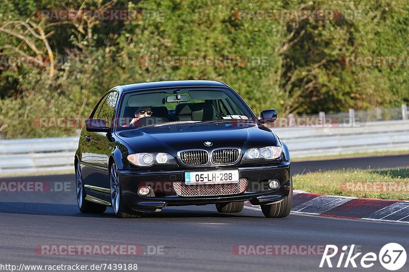 Bild #7439188 - Touristenfahrten Nürburgring Nordschleife (10.09.2019)