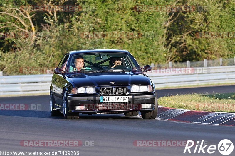 Bild #7439236 - Touristenfahrten Nürburgring Nordschleife (10.09.2019)