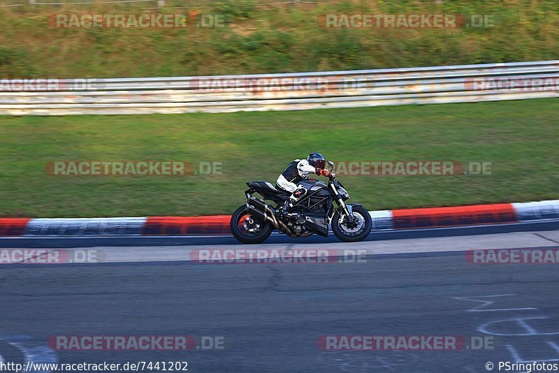 Bild #7441202 - Touristenfahrten Nürburgring Nordschleife (10.09.2019)