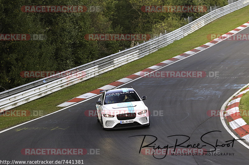 Bild #7441381 - Touristenfahrten Nürburgring Nordschleife (10.09.2019)