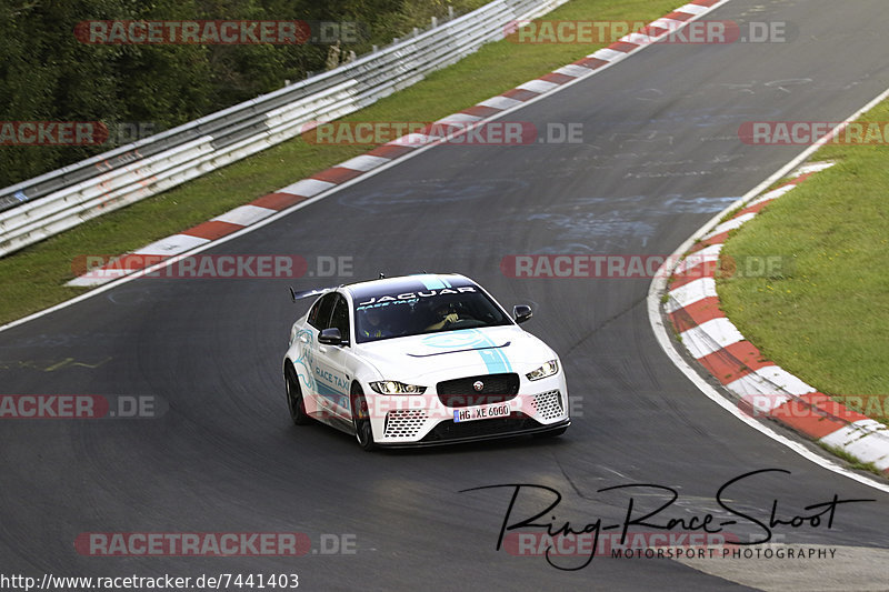 Bild #7441403 - Touristenfahrten Nürburgring Nordschleife (10.09.2019)