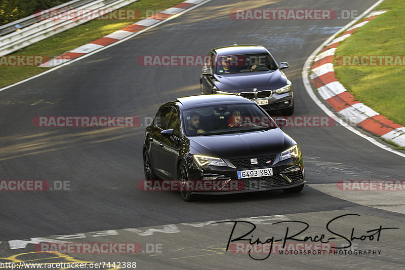 Bild #7442388 - Touristenfahrten Nürburgring Nordschleife (10.09.2019)