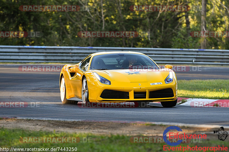 Bild #7443250 - Touristenfahrten Nürburgring Nordschleife (10.09.2019)