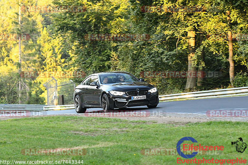 Bild #7443344 - Touristenfahrten Nürburgring Nordschleife (10.09.2019)