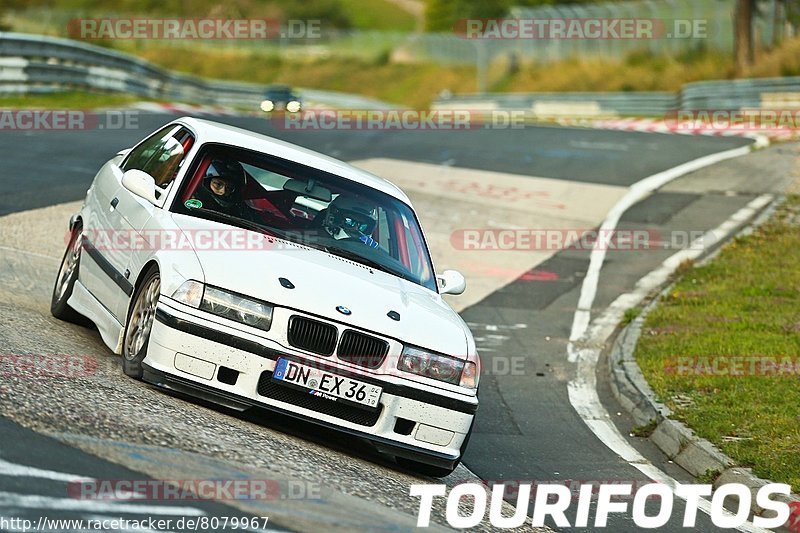 Bild #8079967 - Touristenfahrten Nürburgring Nordschleife (10.09.2019)