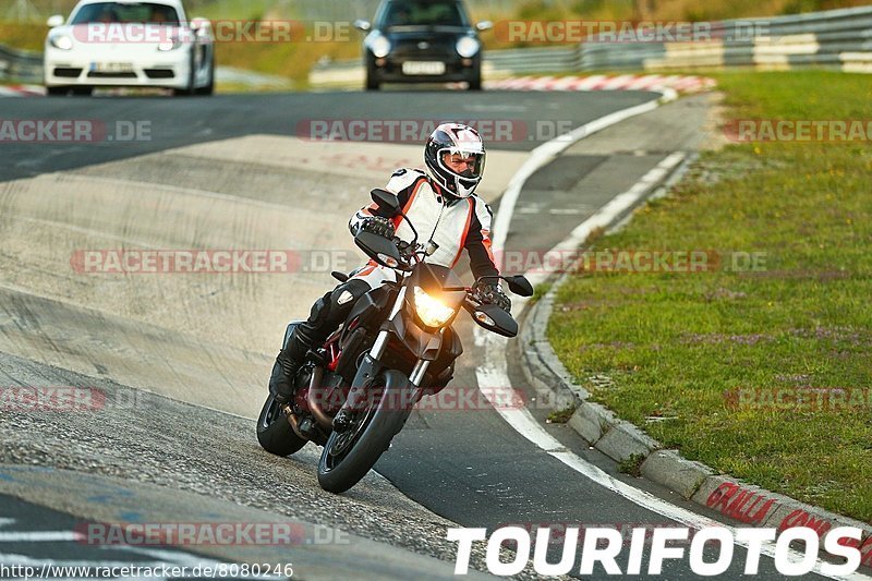 Bild #8080246 - Touristenfahrten Nürburgring Nordschleife (10.09.2019)