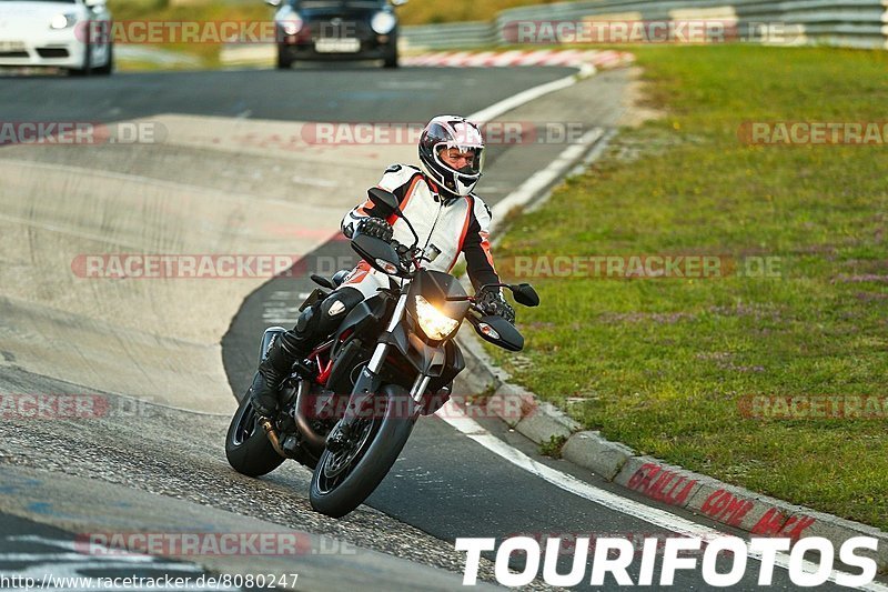 Bild #8080247 - Touristenfahrten Nürburgring Nordschleife (10.09.2019)