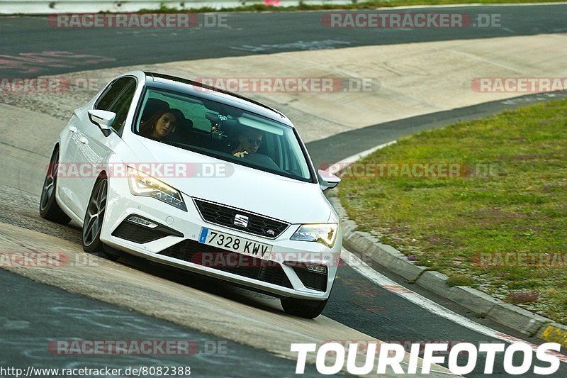 Bild #8082388 - Touristenfahrten Nürburgring Nordschleife (10.09.2019)