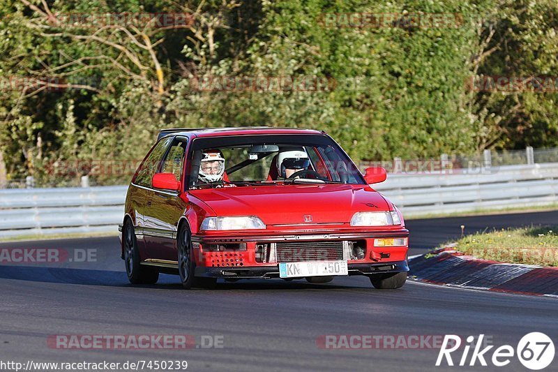 Bild #7450239 - Touristenfahrten Nürburgring Nordschleife (12.09.2019)