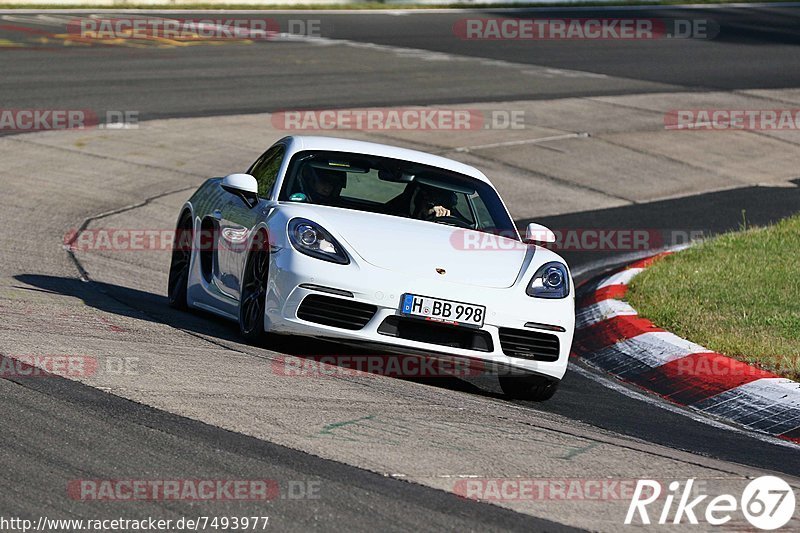 Bild #7493977 - Touristenfahrten Nürburgring Nordschleife (15.09.2019)