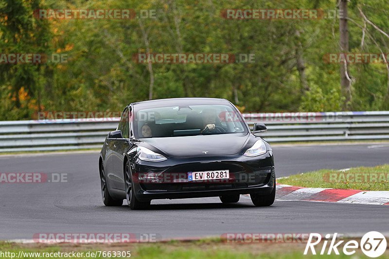 Bild #7663305 - Touristenfahrten Nürburgring Nordschleife (03.10.2019)