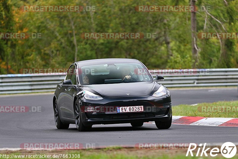 Bild #7663308 - Touristenfahrten Nürburgring Nordschleife (03.10.2019)