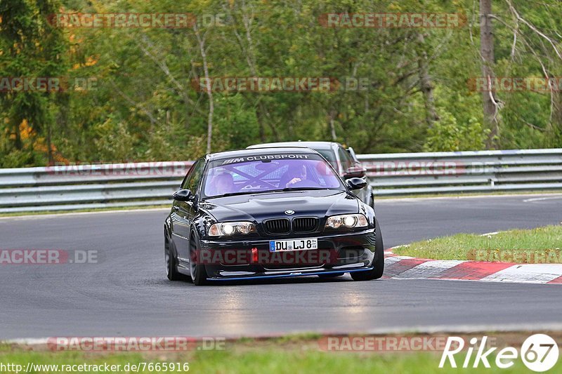 Bild #7665916 - Touristenfahrten Nürburgring Nordschleife (03.10.2019)