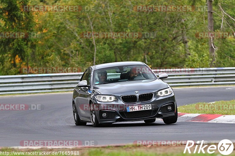 Bild #7665948 - Touristenfahrten Nürburgring Nordschleife (03.10.2019)