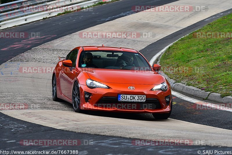 Bild #7667388 - Touristenfahrten Nürburgring Nordschleife (03.10.2019)