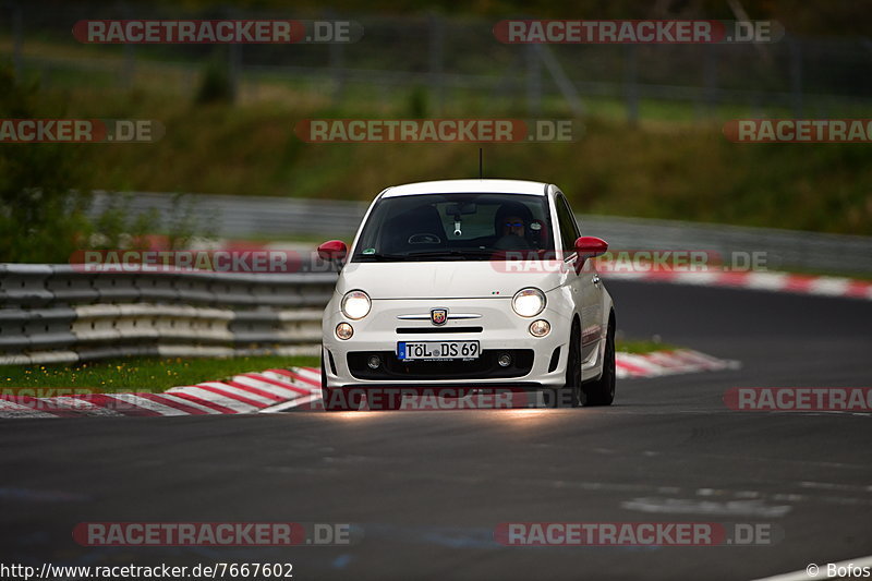 Bild #7667602 - Touristenfahrten Nürburgring Nordschleife (03.10.2019)